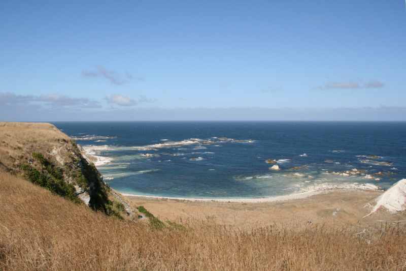 Nieuw-Zeeland 2011 - 1160